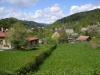 11 Bohuslavice  nad Úpou